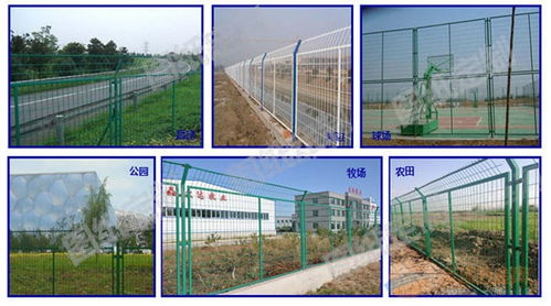 海口电焊网厂在工程管理中的角色 从公路护栏规格到三亚绿化隔离网价格解析